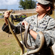 Illustration for article titled U.S. To Drop Toxic Mice On Guam's Invasive Snakes